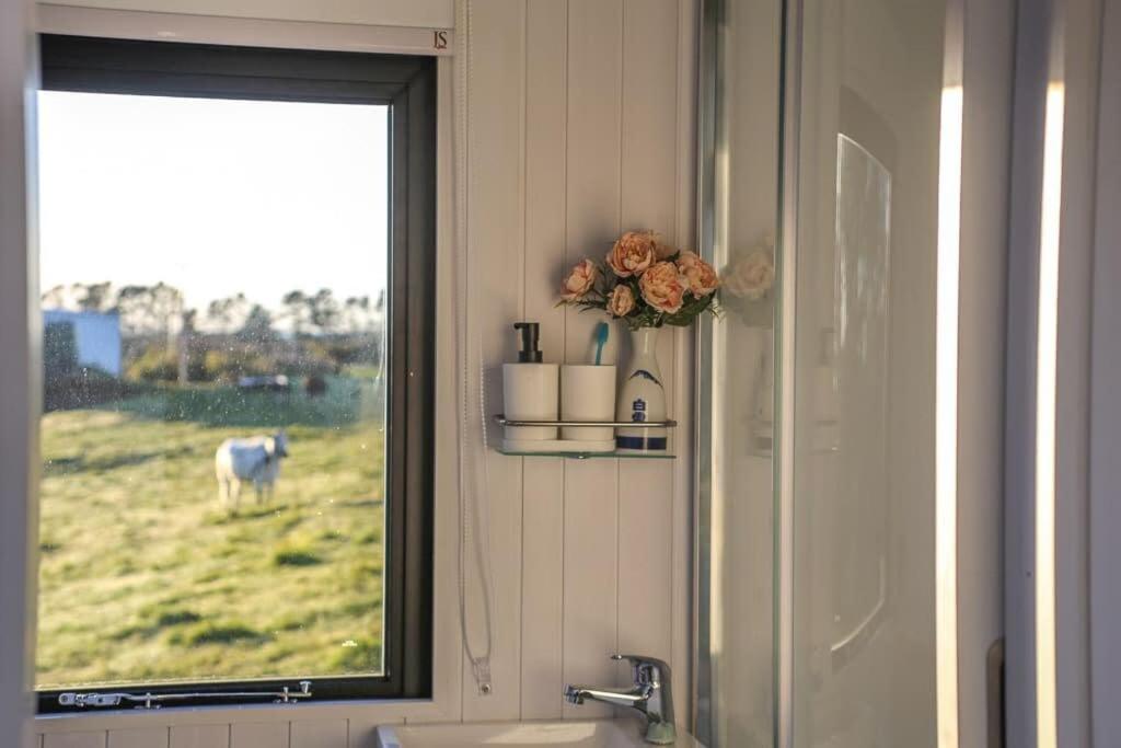 Villa Taranaki Creekside Kea By Tiny Away Stratford Exterior foto