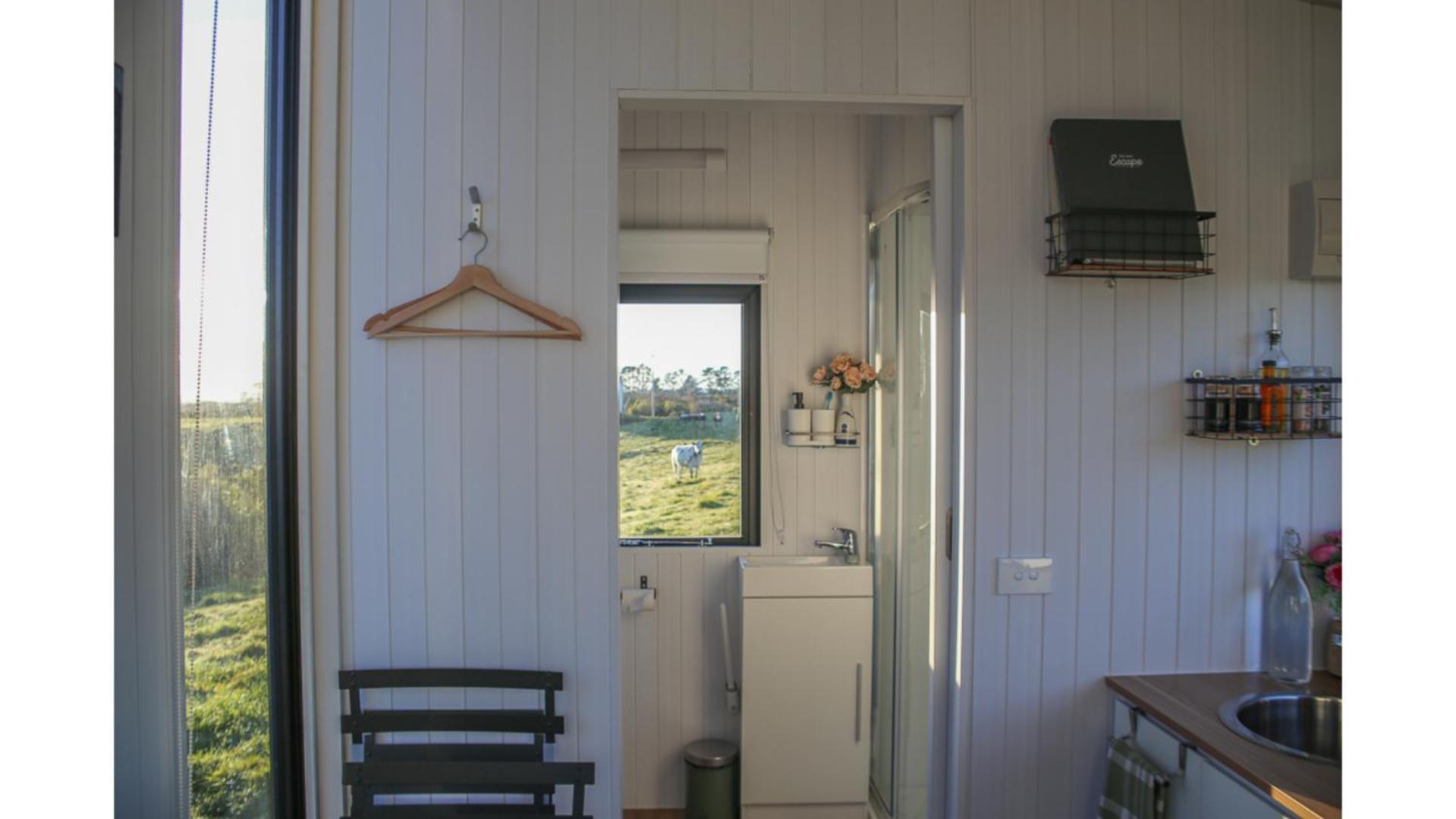 Villa Taranaki Creekside Kea By Tiny Away Stratford Exterior foto